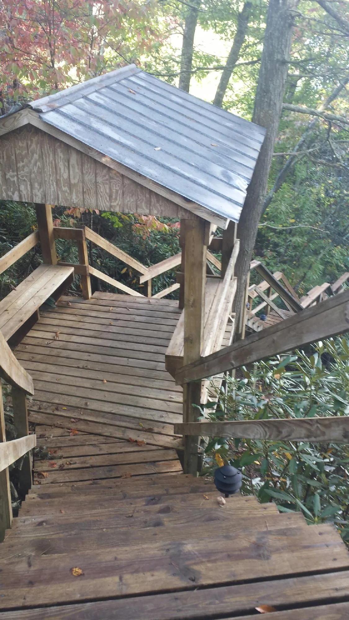 Metal roofed shelter over wooden steps on a wooded walkway — Skylight Repair & Installation work by our crew in Norman Park